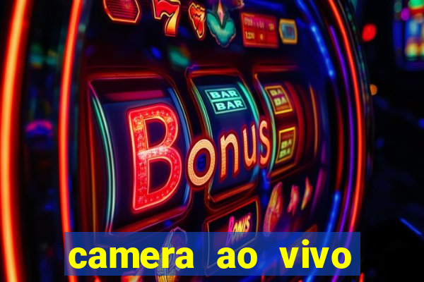 camera ao vivo terminal vila nova cachoeirinha